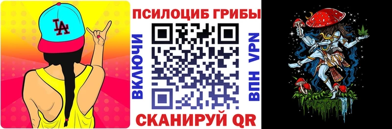 купить наркоту  Ахтубинск  Галлюциногенные грибы GOLDEN TEACHER 