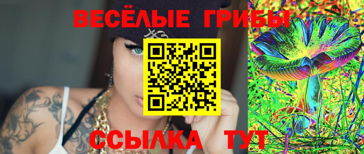 Псилоцибиновые грибы Psilocybe Ахтубинск