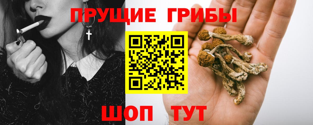 Псилоцибиновые грибы мицелий  Вход с VPN  Ахтубинск 
